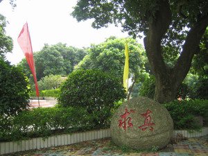 萝岗区第九十一中学图片