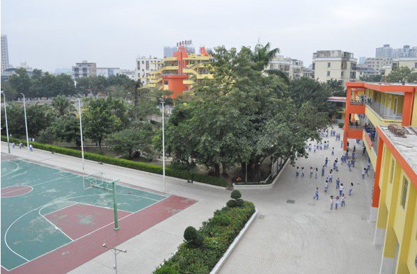 深圳市龙岗爱联小学图片