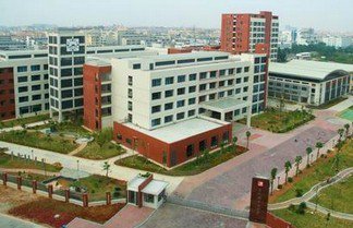 东莞市大朗镇中心小学图片