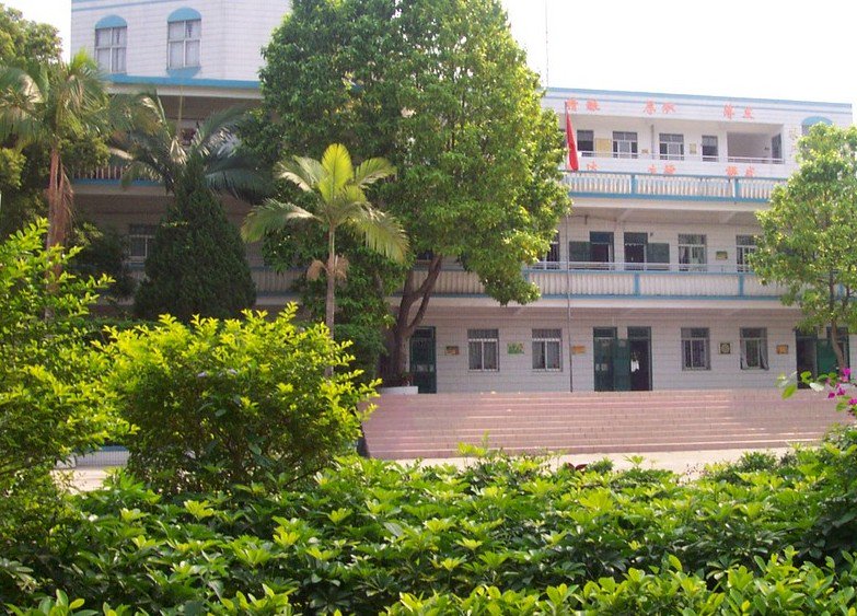 深圳市龙岗区梧桐学校小学部图片