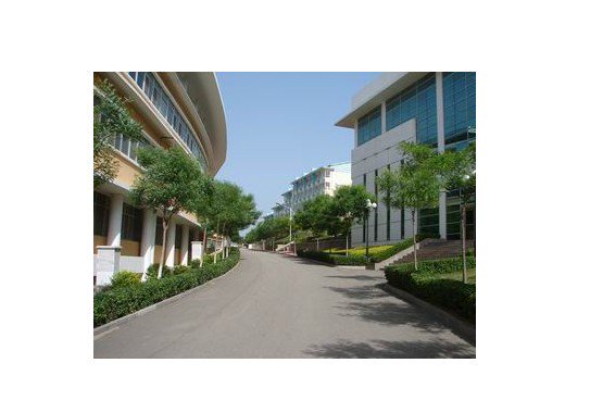 威海市大光华国际学校（初中）图片