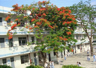 深圳市龙岗区新湖小学图片