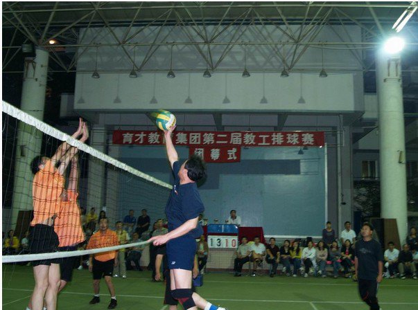 深圳市蛇口育才二中|第二中学（深圳育才二中）图片