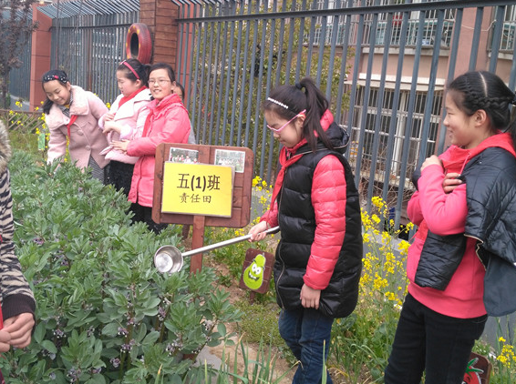 徐州星光碧水湾小学图片
