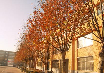 济南市商河弘德中学（高中部）图片