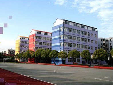 上海市康健外国语实验中学（原紫竹园中学）图片