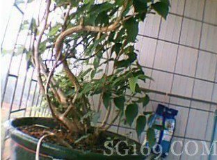 韶关市仁化县周田中学图片