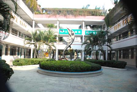 深圳市罗湖区笋岗小学图片