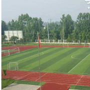 青白江区姚渡中学图片