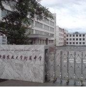 新疆农业大学附属中学图片
