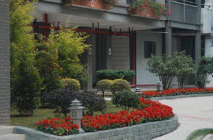 深圳市龙岗区四联小学图片