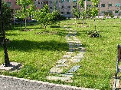 北京市师达中学图片