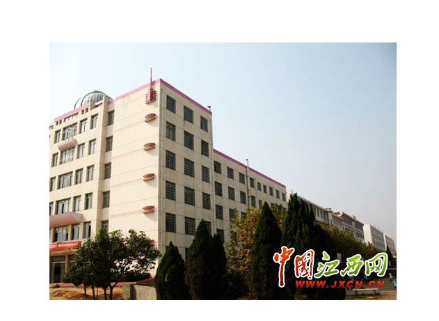 江西省临川十中图片