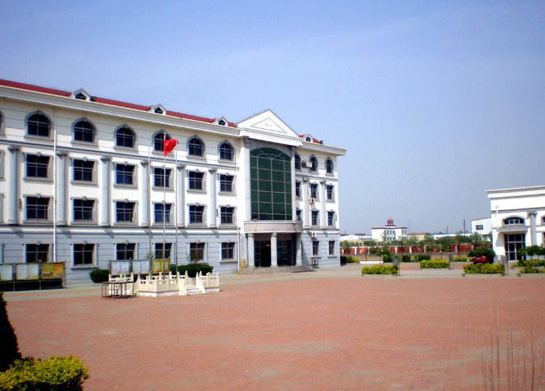 天津市大港区太平镇第三小学图片