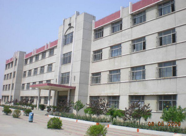 天津市大港区仁合小学图片