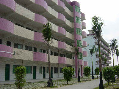 佛冈县城北中学图片