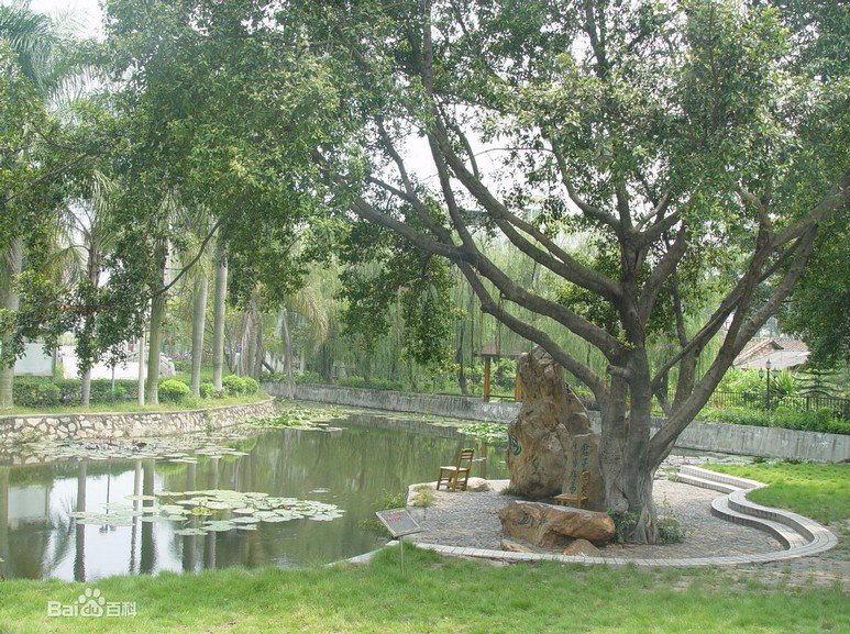 广州市禺山高级中学图片