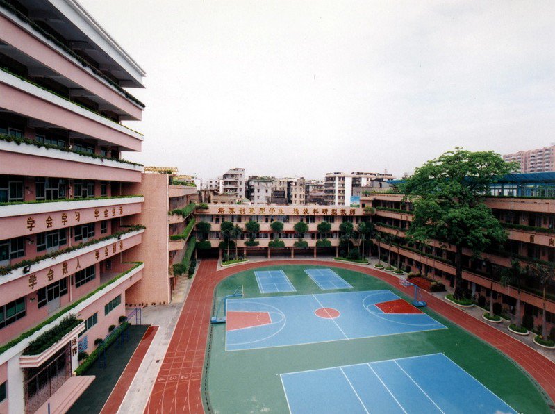 广州市番禺区市桥南阳里小学图片