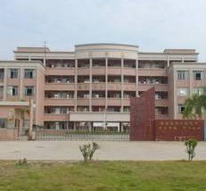 佛山市迳口华侨经济区中心小学图片