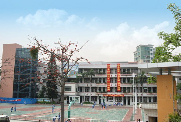 深圳市龙岗区南湾学校小学部图片