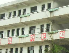 衡阳市罗家湾小学图片