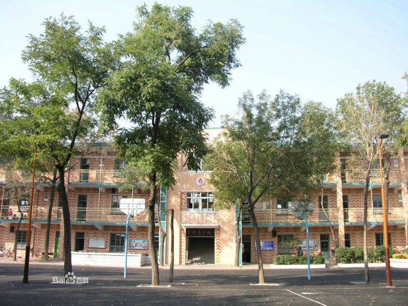 天津市杨庄子小学图片