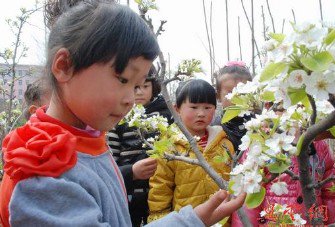 枣庄市山亭区西集镇马庄小学图片