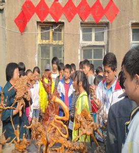 枣庄市第三十三中学图片