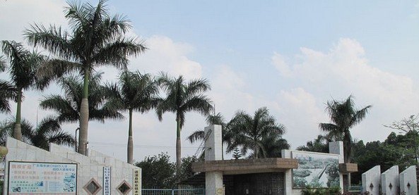 遂溪县四中|第四中学图片