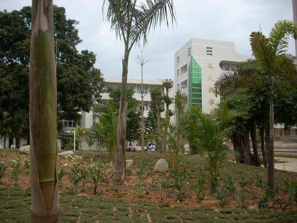 福建省东山一中|第一中学（东山一中）图片