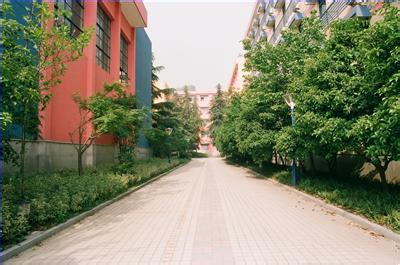 杭州市钱塘外语学校图片