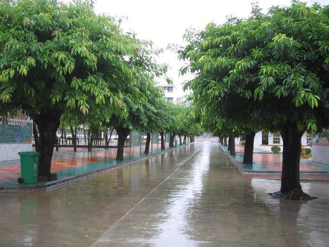 韶关市始兴县马市中学图片