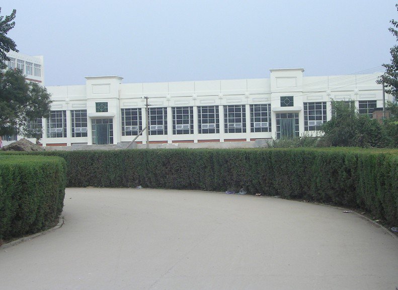 天津市武清区河西务中学图片