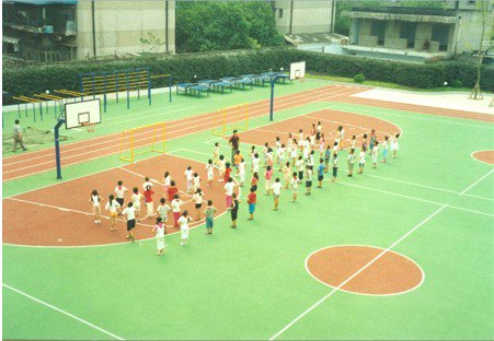 成都市白果林小学图片