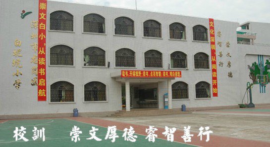 深圳市龙岗区白坭坑小学图片