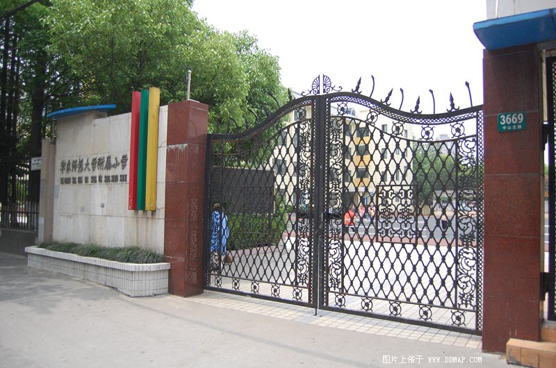 华东师大附属小学图片