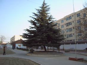 泰安市宁阳英才学校图片