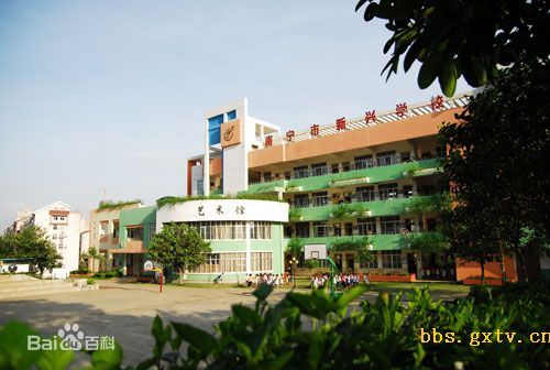 南宁市新兴民族学校（小学）图片