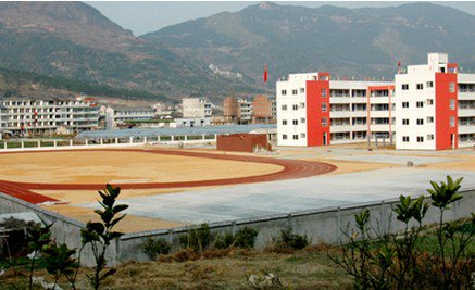 温州市永嘉县枫林镇中心小学图片