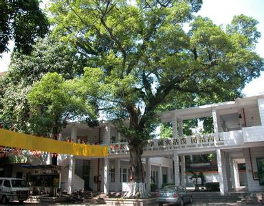 东莞市莞城中心小学分校图片