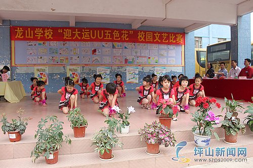 深圳市坪山新区龙山学校图片