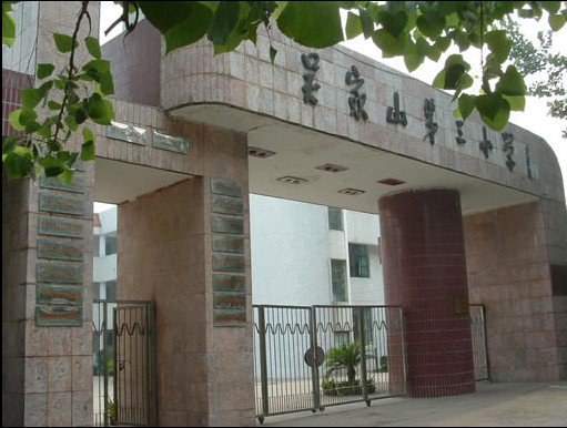 武汉市吴家山第三小学图片