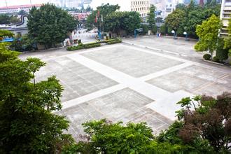 广州市天河区龙洞小学图片