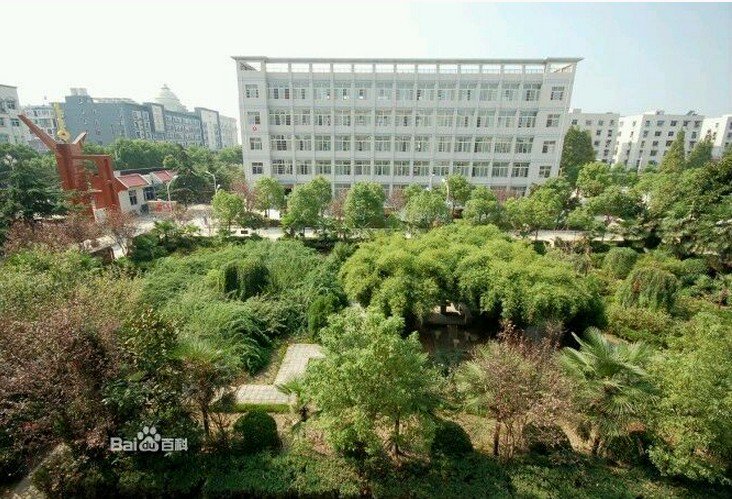 武汉市新洲区实验中学图片