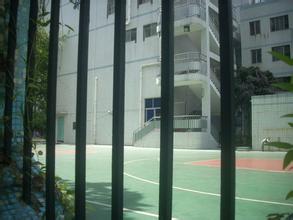 深圳市福田区景莲小学图片