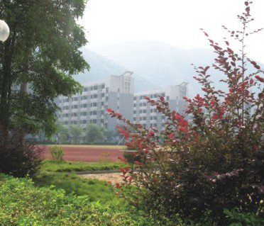 肇庆市外国语实验学校(国际部)图片