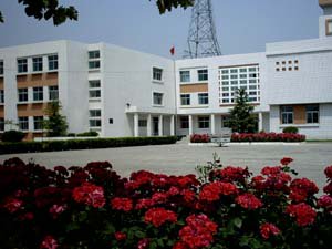 天津市北辰区王庄小学图片