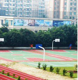 中山市杨仙逸小学体育路学校图片