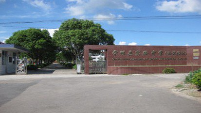 上海市崇明县实验中学图片