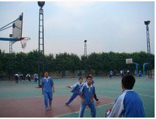 东莞市石碣文晖学校图片